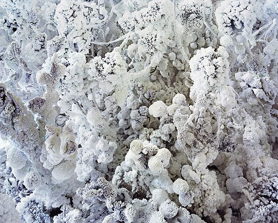 Cassander Eeftinck Schattenkerk, Untitled 2010
