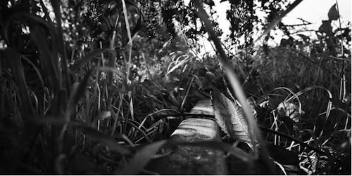 © Philippe Mastas, sans-titre, série Les voies perdues, 2010