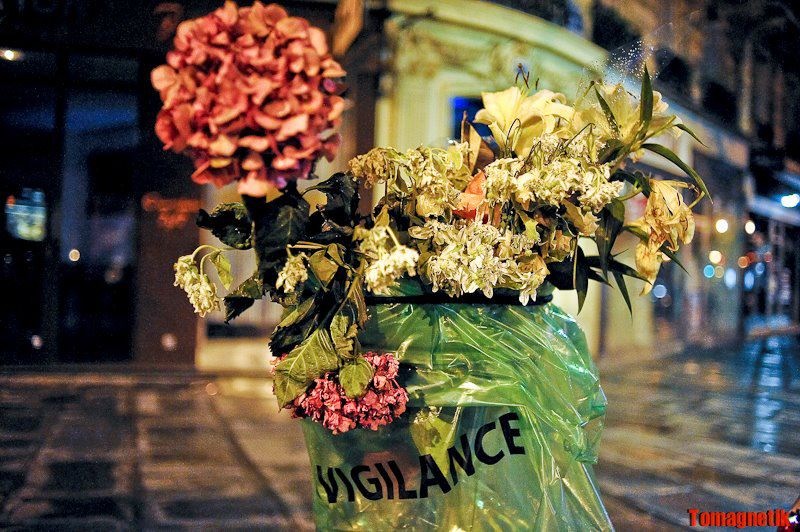 © Tomagnetik