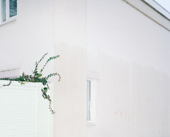 Facades © Lucian Wester