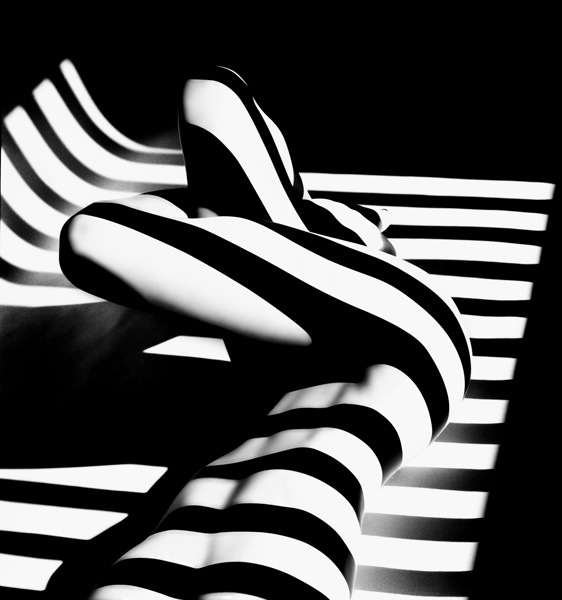 ZEBRA 14,2000.Tirage 2010,papier baryte? /aluminium.80X80 cm. Ed/10
© Francis Giacobetti