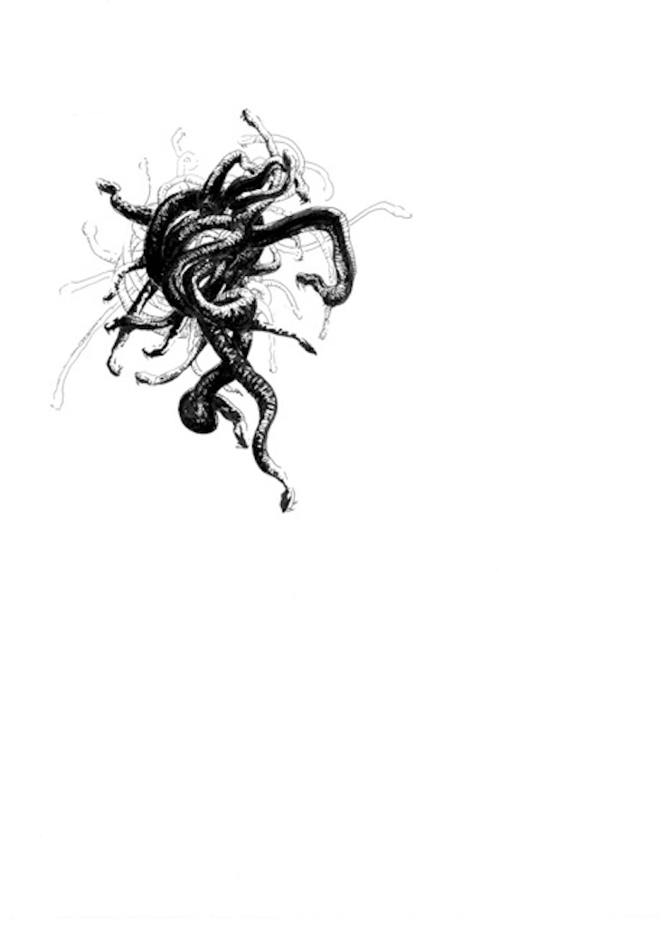 Monstre (méduse) © Vincent Mesaros