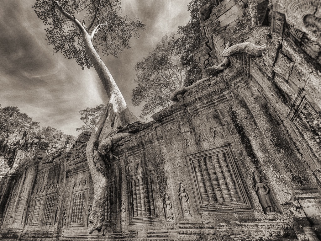 From sky to Earth © Jean-Christophe Mazoyer