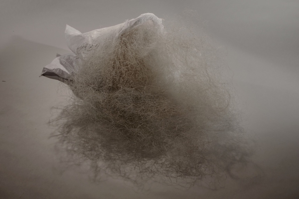 © Michèle Sylvander
