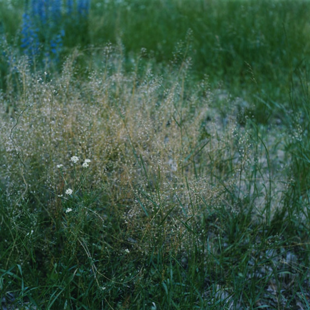 © Anne Schwalbe