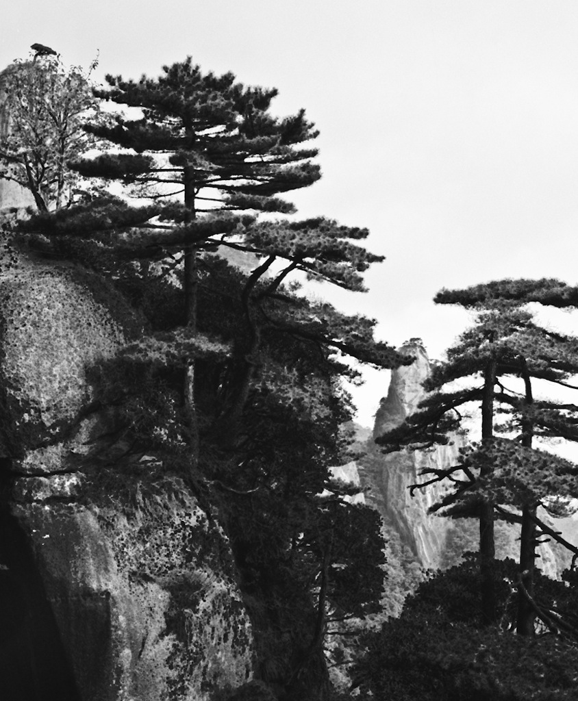 Chen Dahzi