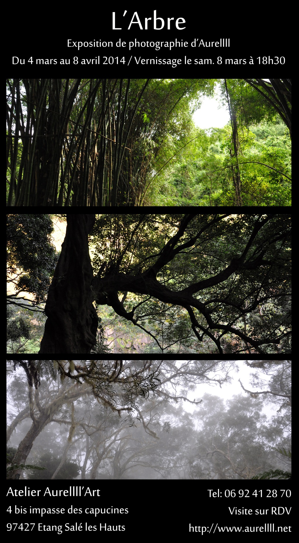 L'Arbre © Aurellll