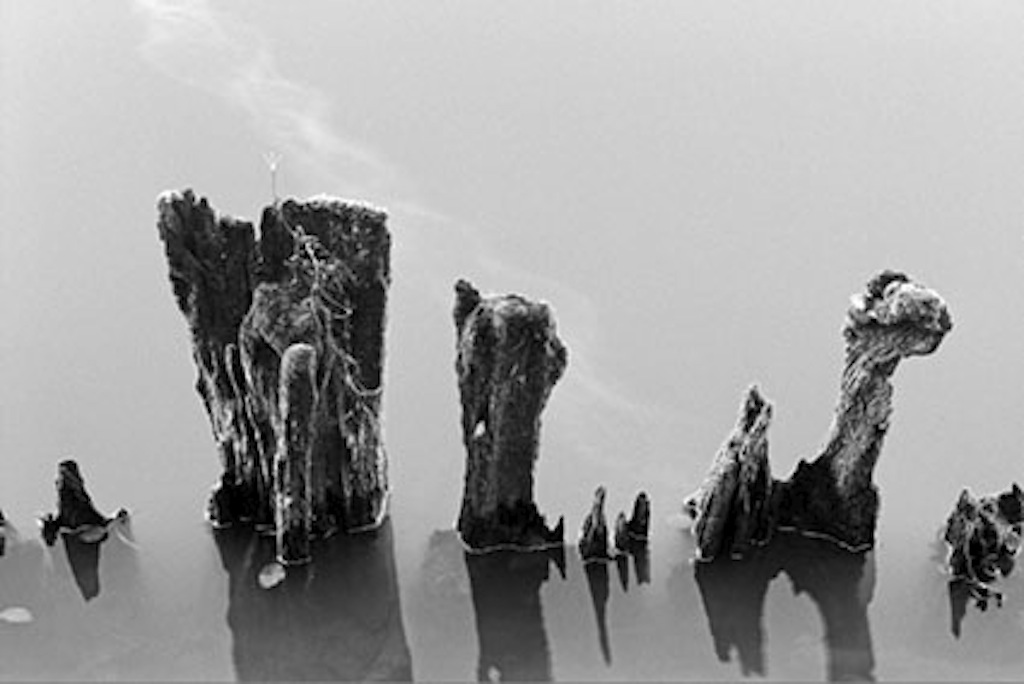 © Jean-François URBAIN