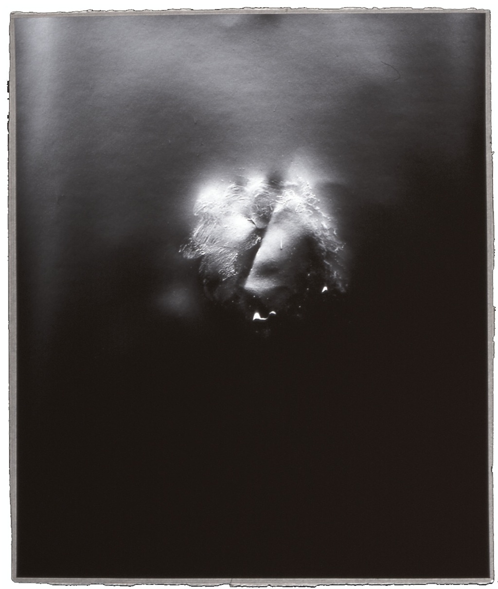 Villa Arson © Christian Galzin