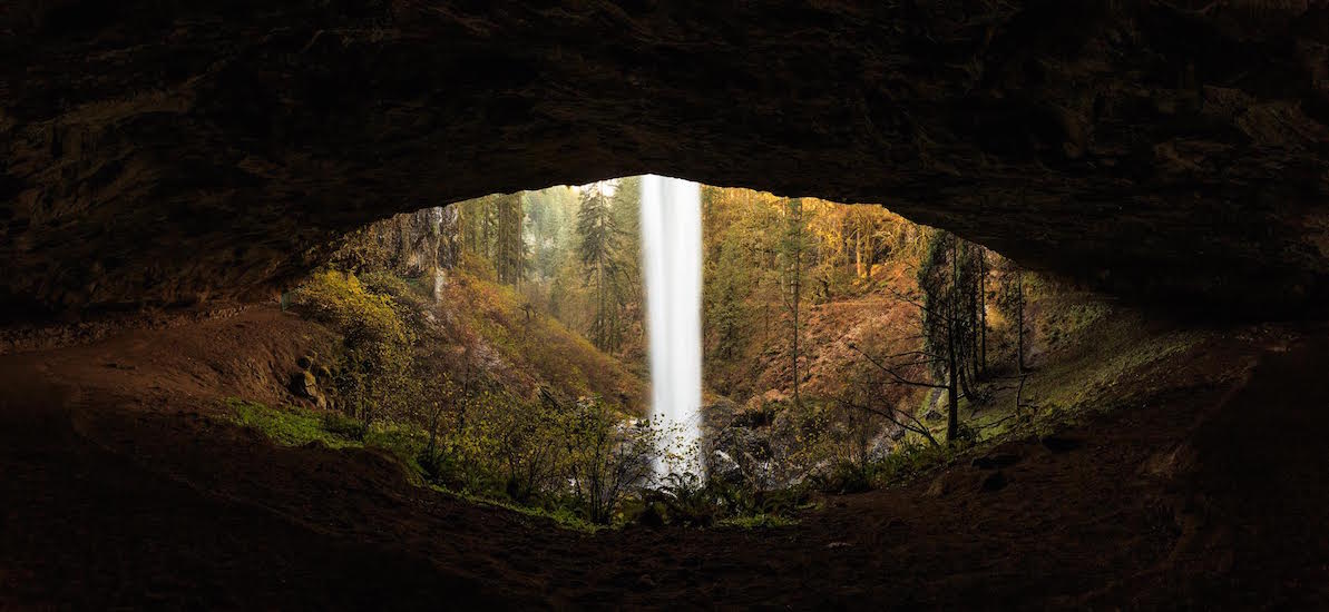 © Jarred Decker