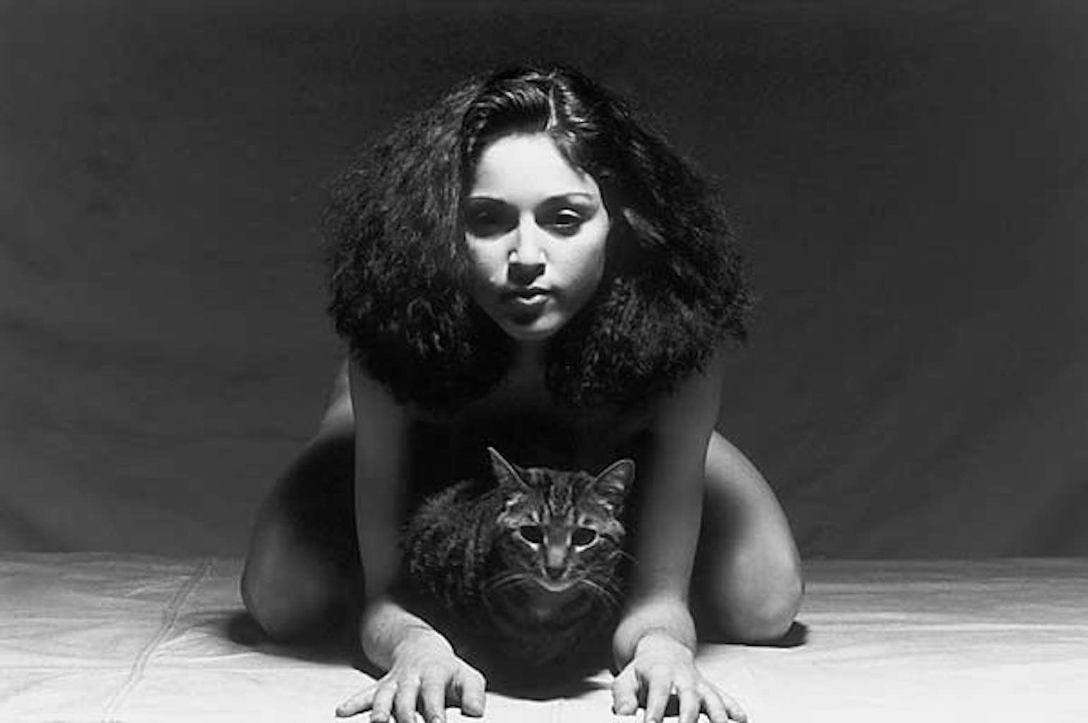 © Martin H. M. Schreiber