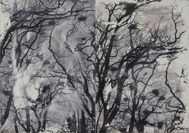 Dörte Eißfeldt
Reiherwald (Diptychon)
2012
Silbergelatine-Barytpapier
© Dörte Eißfeldt