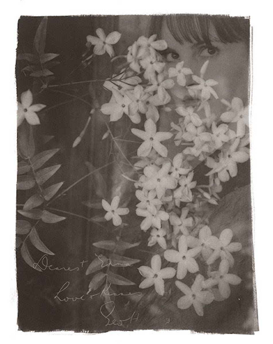 © Brigitte Carnochan