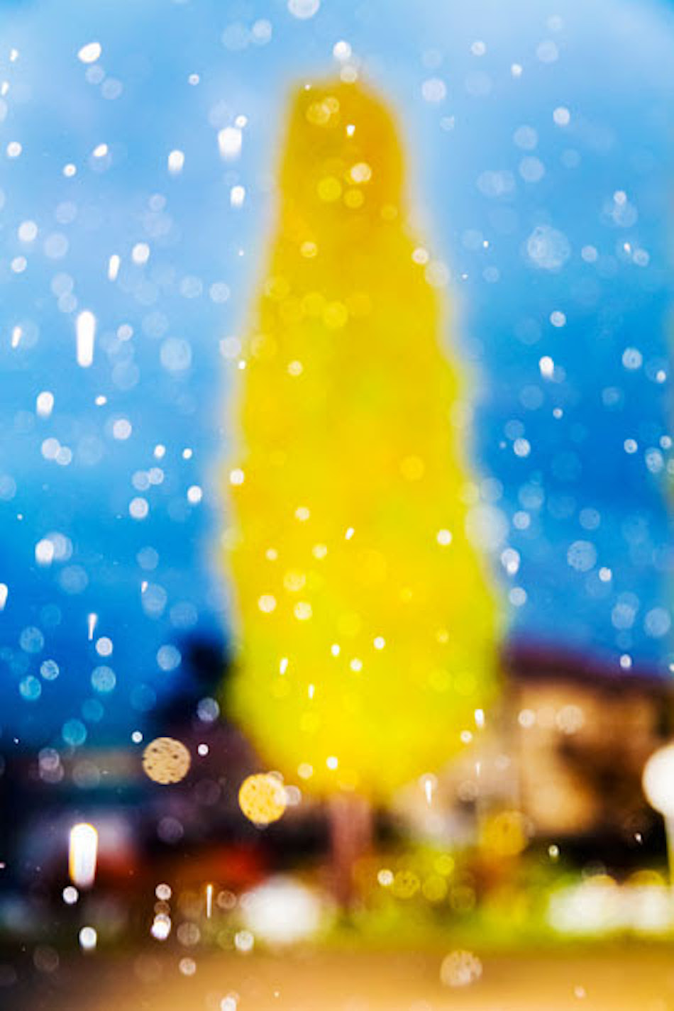 © Yoshinori Mizutani