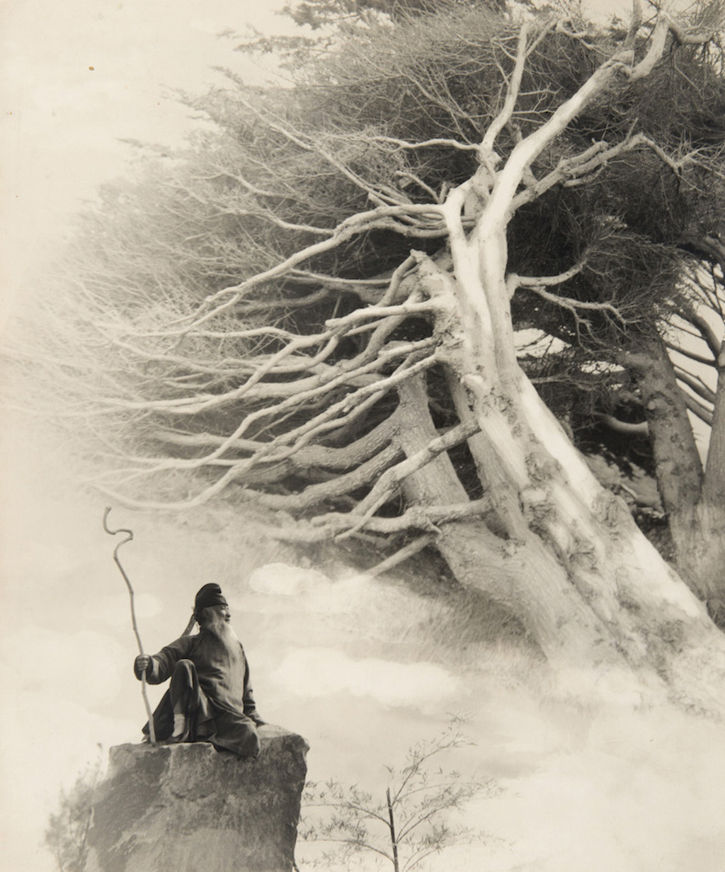LANG Jingshan, CHIN-SAN LONG ??? (1892-1995)
Zhang Daqian (« Cypress Trees »), 1963 © Courtesy Millon