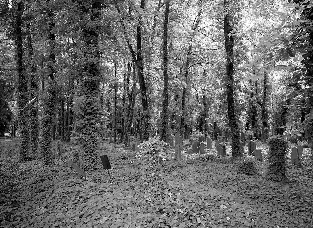 JEWISH CEMETRY, PRAGUE, 2016 ©DOUG HALL