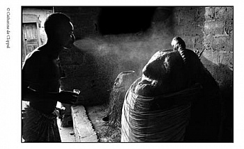 De Clippel Catherine 