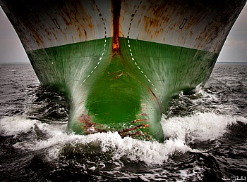 Tribouillard Valentin 