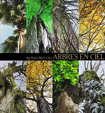 ARBEFEUILLE ANNEMARIE 