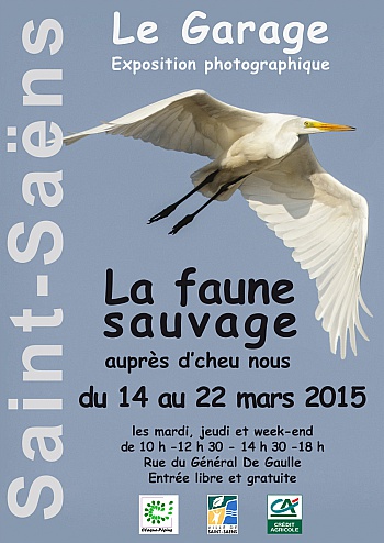 Visuels.fr Normandie- 