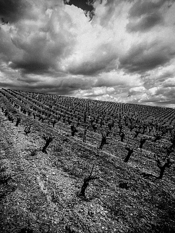 De Brigode François  