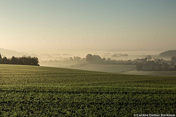 DATTNER BLANKSTEIN CAROLINE 