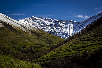 Hustache  Sébastien  