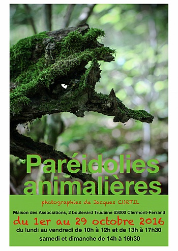 Curtil Jacques
