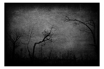 Hermand-Grisel Sandrine 