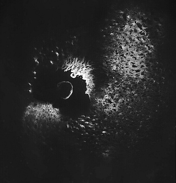 Dommergue-besson Daniel 