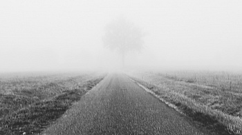 Huchot-boissier Patricia 