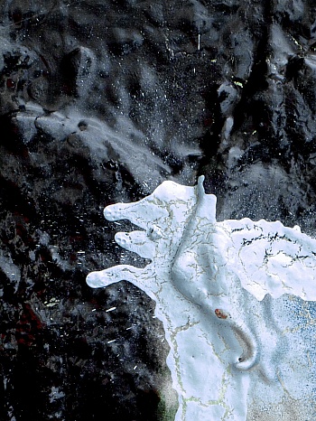 Nguyen Antoine dông 