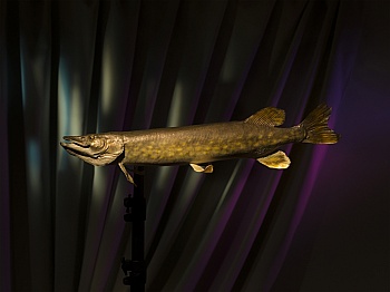 L'aparté Lieu d'art contemporain