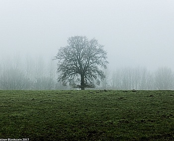 DATTNER BLANKSTEIN CAROLINE 