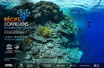 Limousin rosenfeld Florence