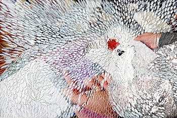 Galerie françoise besson Françoise