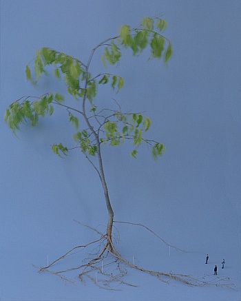 Photo-look Association 