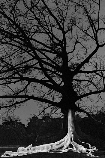 Séméniako Michel 