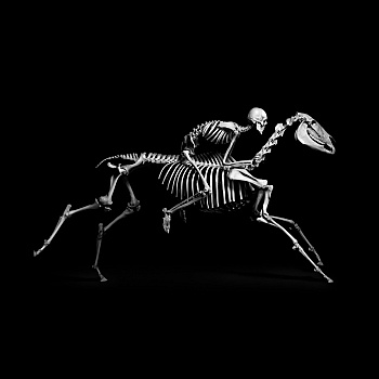 Limousin rosenfeld Florence