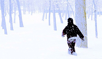 España Keller Juliana 