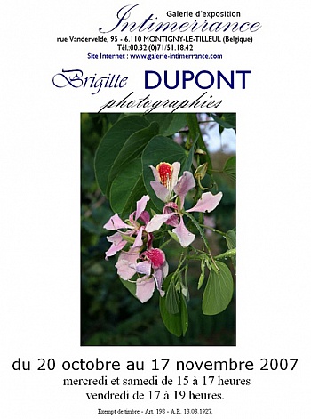 Dupont Brigitte 