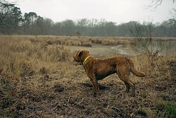 Bourguedieu Christophe 