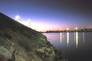 Petit - Tesson Christophe 