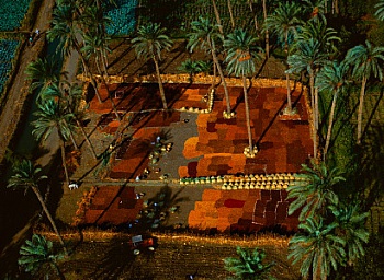 Arthus-Bertrand Yann 