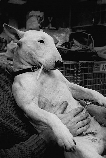 Eeckhoudt Michel Vanden 