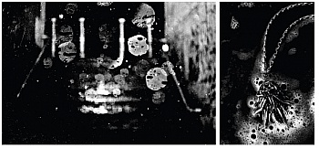 Spricigo Jean-François 