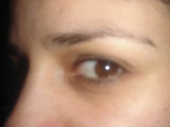 Gautier Céline Anaya 