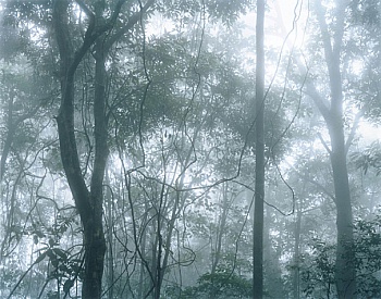 Schink Hans-Christian