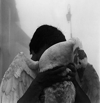 Fleming Caffery Debbie 