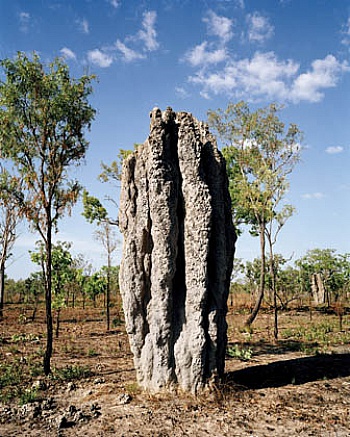 Ballot Jean-Christophe 